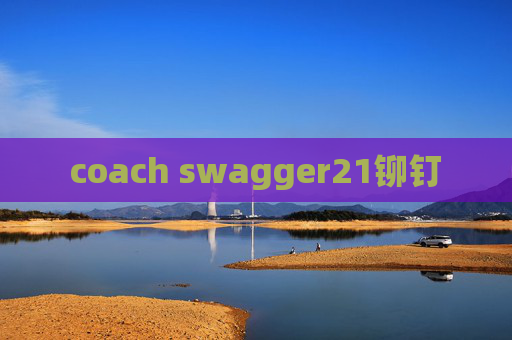 coach swagger21铆钉